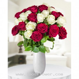 31 Red & White Roses